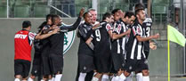 /10298galo.jpg
