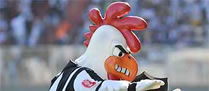 /10408mascote_2.jpg