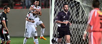 /11393colocolo.jpg