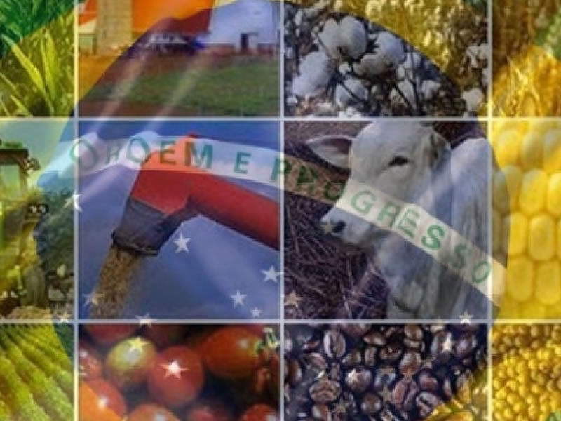 /13483Agro.jpg