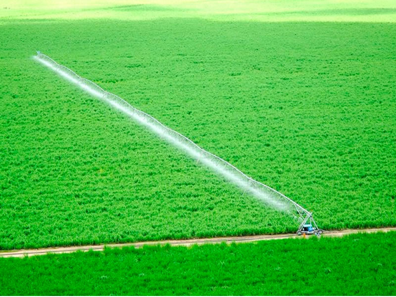 /13920agro1206.jpg