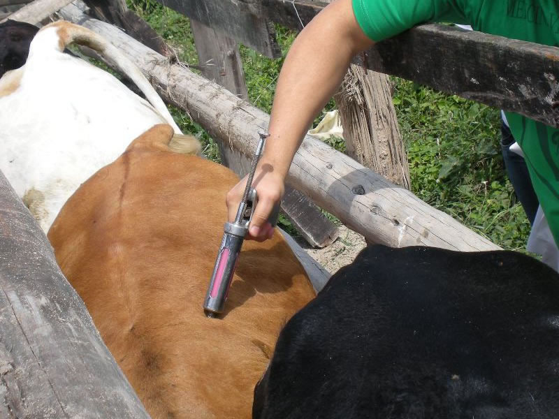 /13983agro2206.jpg