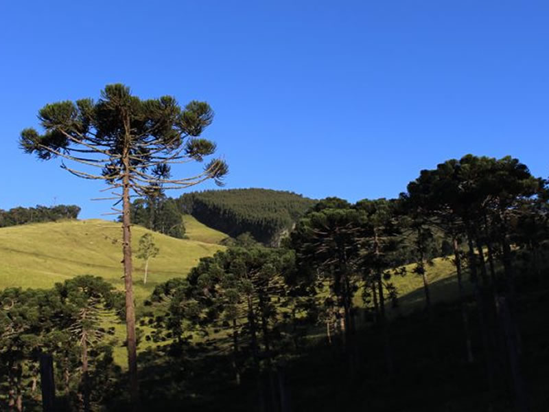 /14055turis0407.jpg