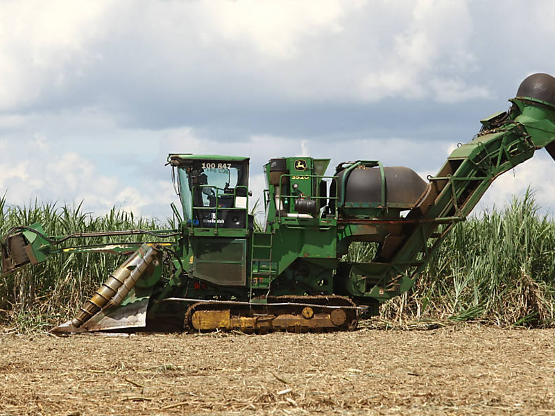 /14078agro0707.jpg