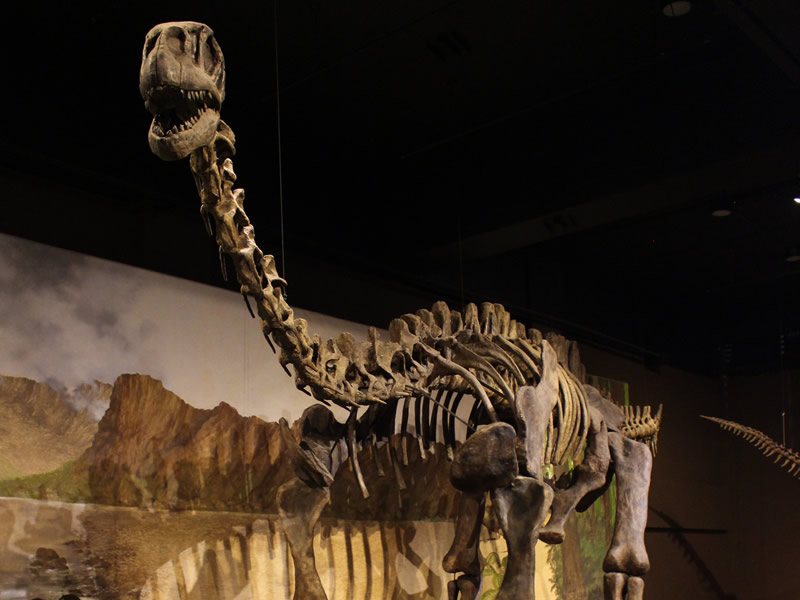 /14109turis0713.jpg