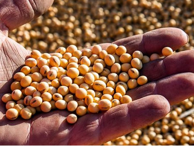 /14126agro0717.jpg