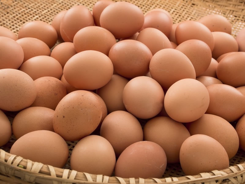 /14161agro0721.jpg