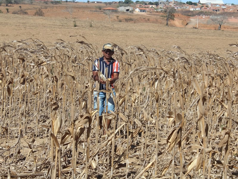 /14193agro0727.jpg