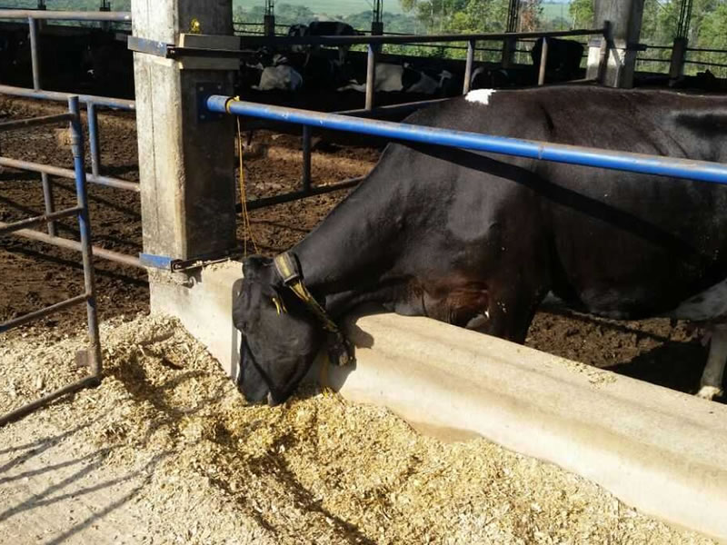 /14198agro0728.jpg