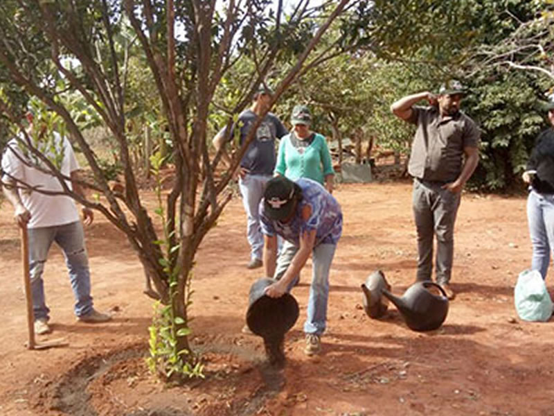 /14209agro0731.jpg