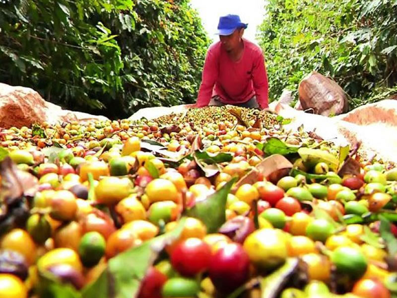 /14241agro0804.jpg