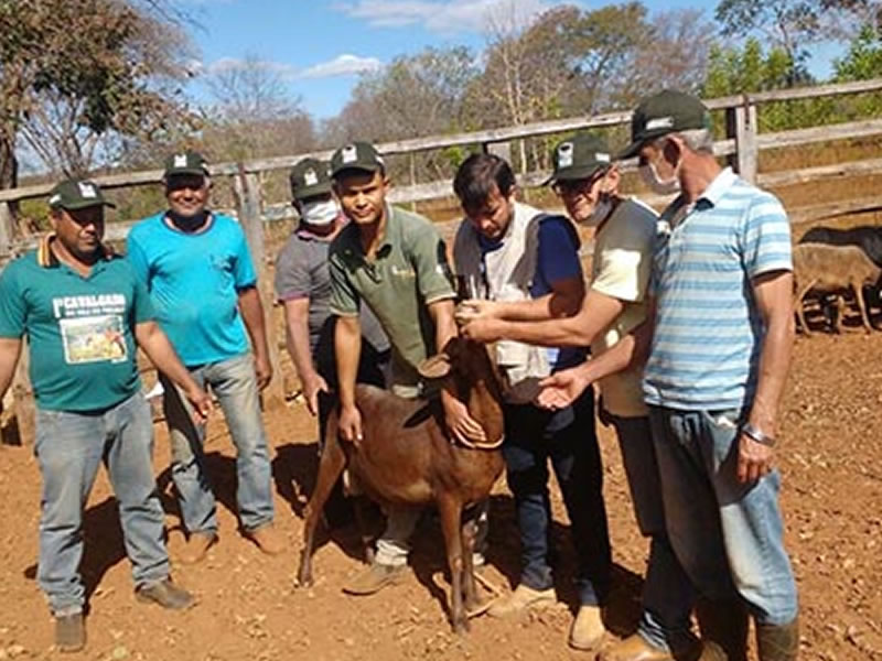 /14260agro0808.jpg