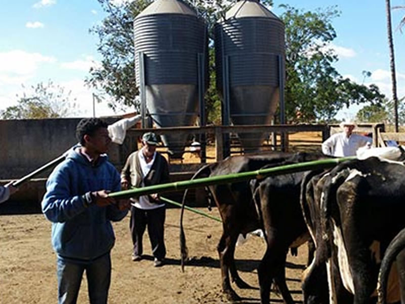 /14268agro0809.jpg