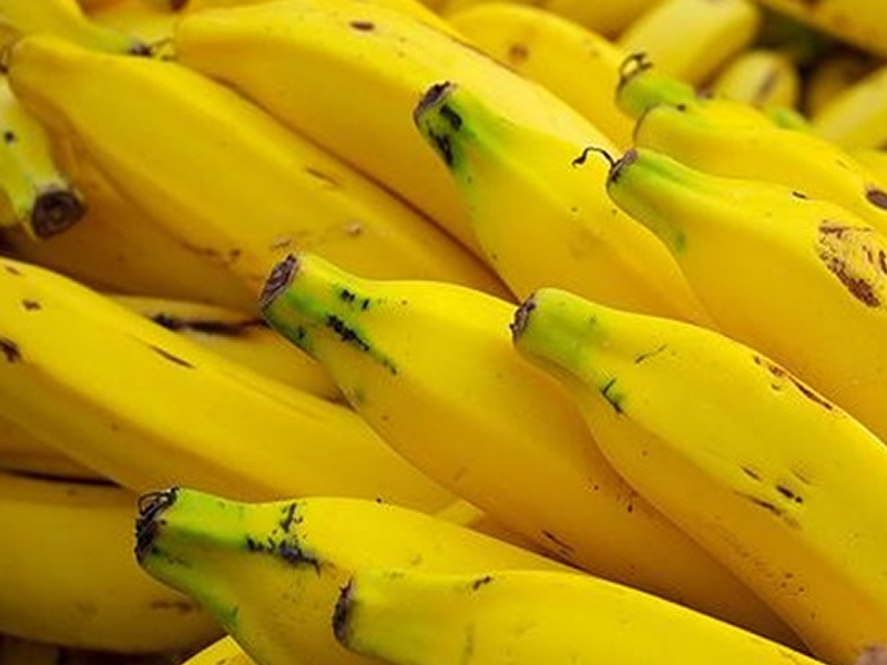 /14285agro0811.jpg