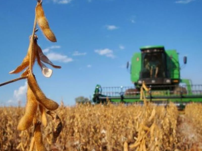 /14295agro0814.jpg