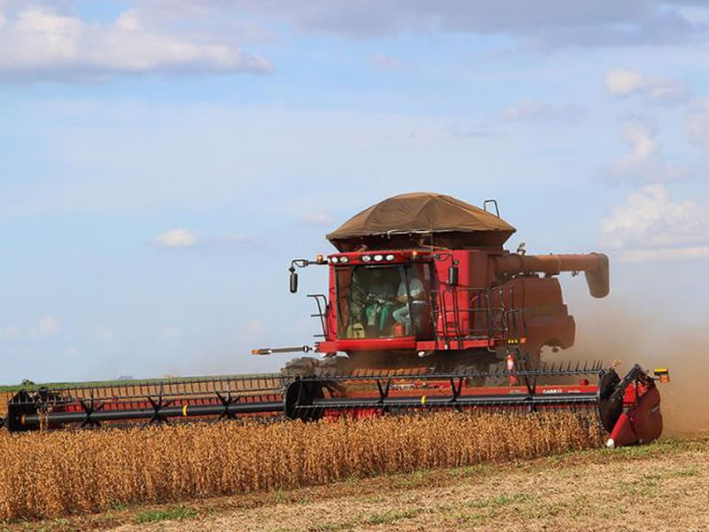 /14316agro0816.jpg