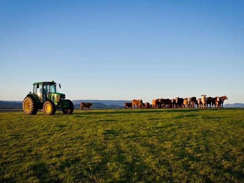 /14351agro0822.jpg