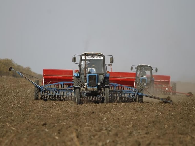 /14414agro0831.jpg