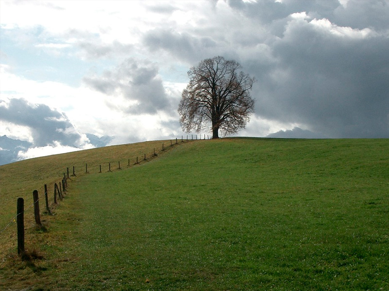 /14459agro0908.jpg
