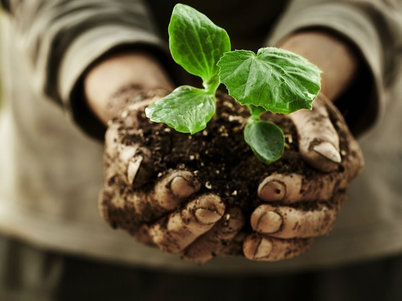 /14490agro0914.jpg