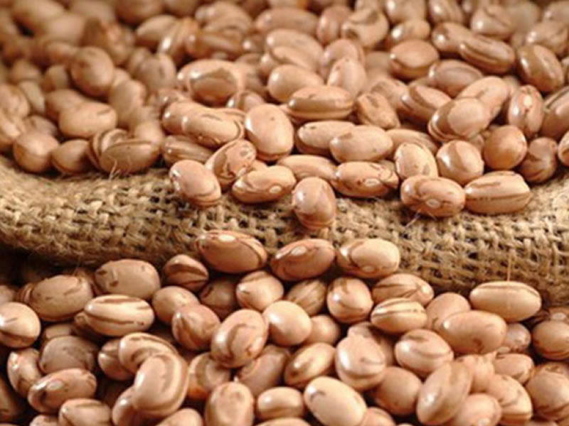 /14500agro0915.jpg