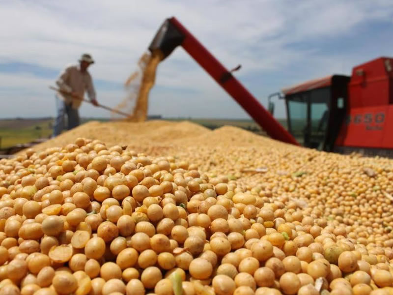/14541agro0922.jpg