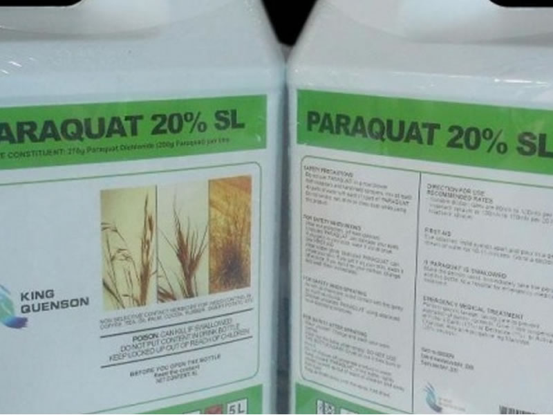 /14556agro0926.jpg