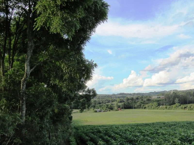 /14572agrineg0928.jpg