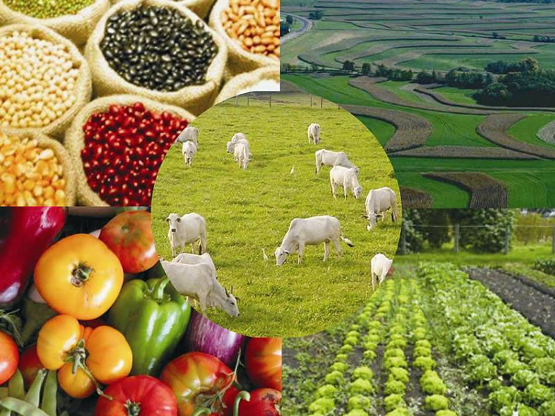 /14634agrop1010.jpg