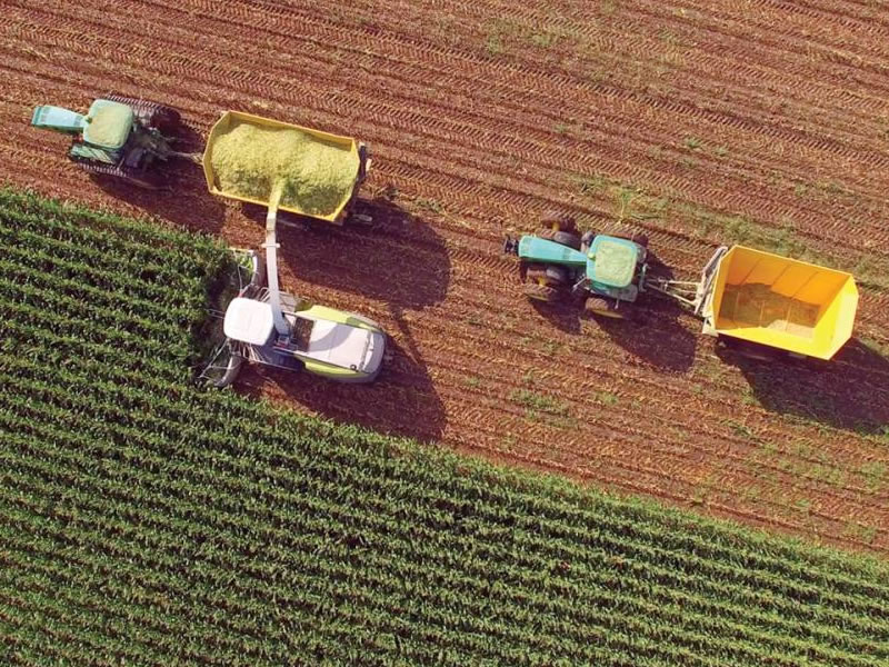 /14778agro1104.jpg