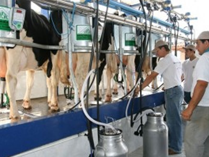 /14822agro1111.jpg