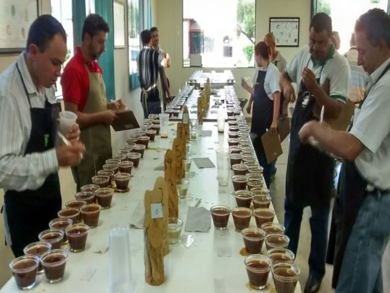 /14847agro1115.jpg