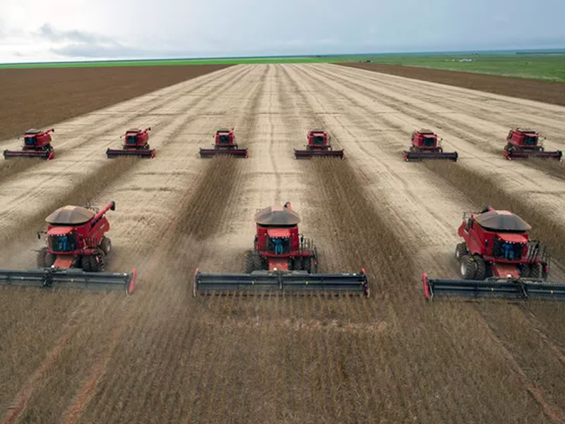 /14989agro1206.jpg