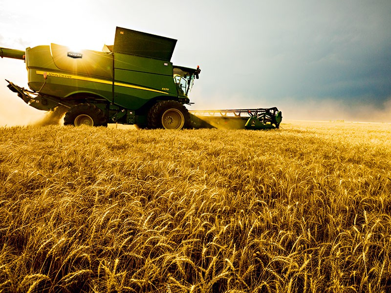 /15149agro1229.jpg