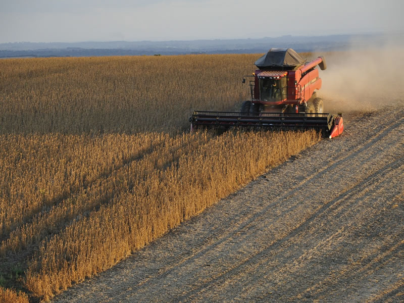 /15238agro0112.jpg