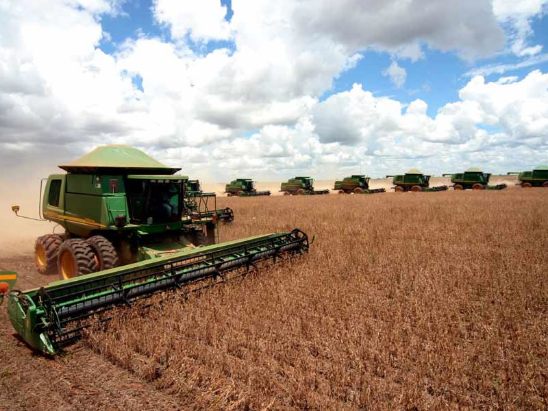 /15321agro0124.jpg
