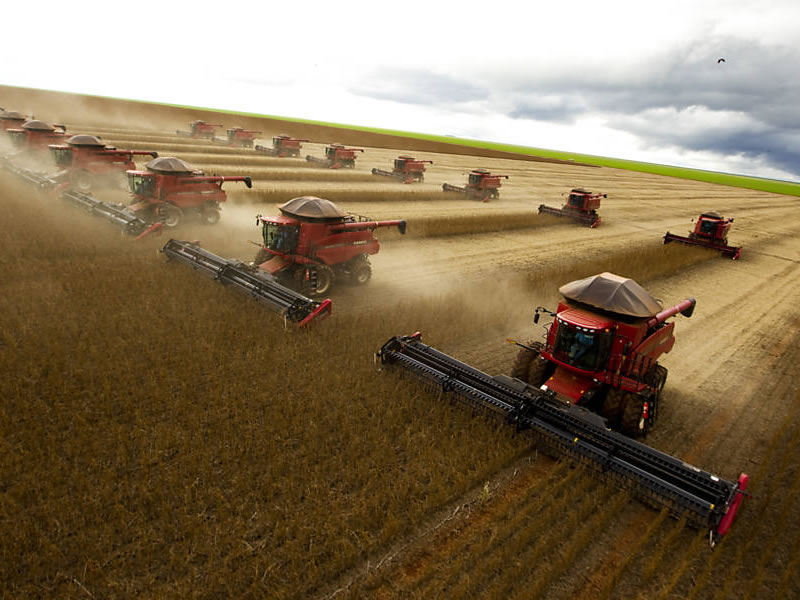 /15709agro2703.jpg