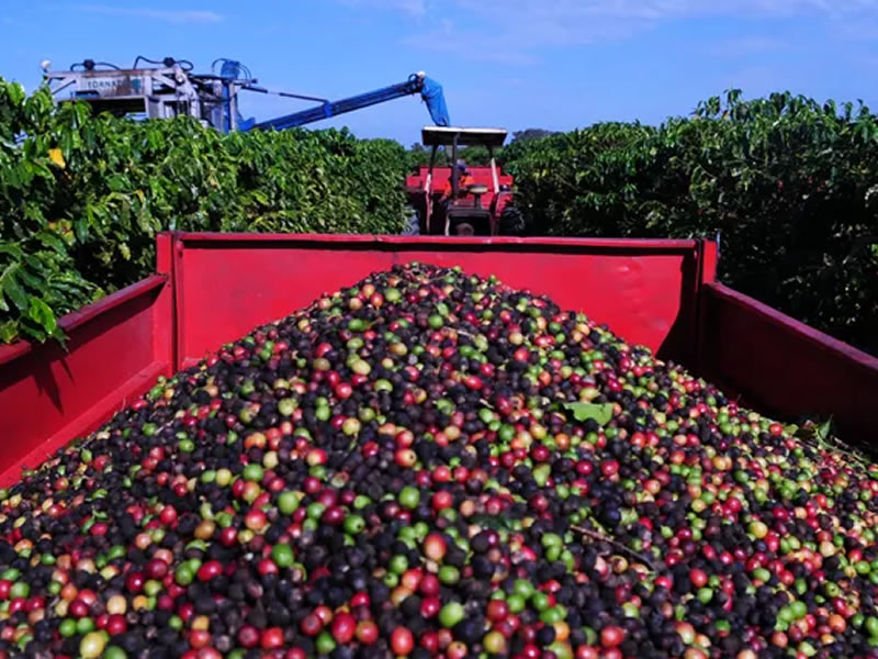 /15749agro0304.jpg
