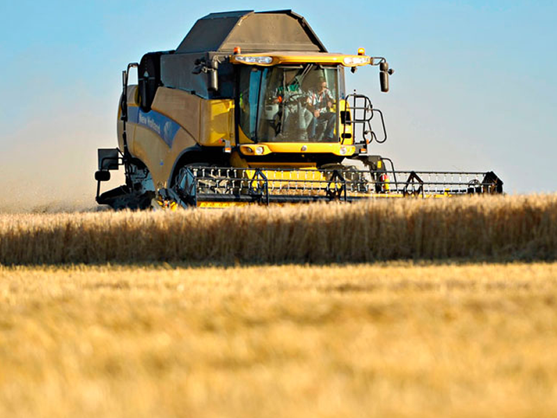 /16881agro210818.png