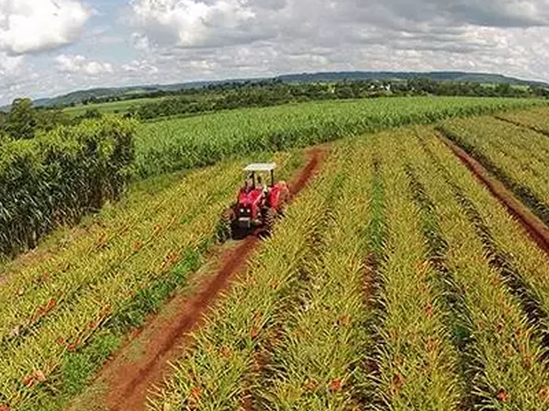 /16986agro040918.jpg