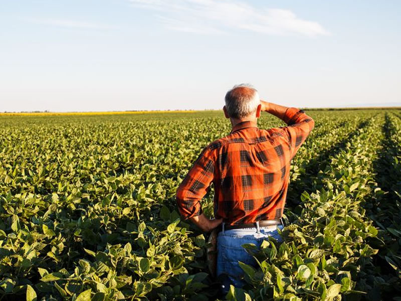 /17234agro081018.jpg