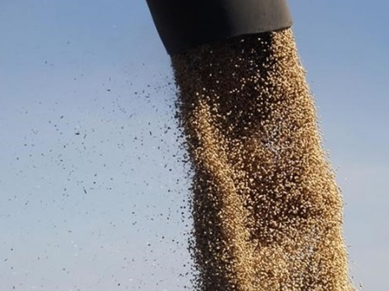 /17933agro2901.jpg