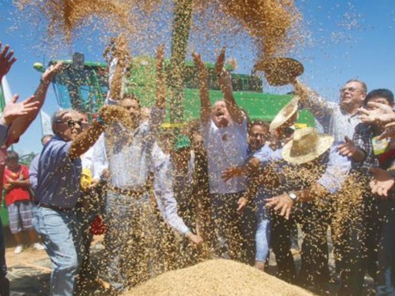 /17982agro0502.png