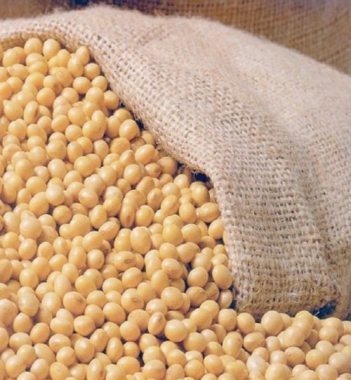 /18628ima-vai-fiscalizar-cerca-de-800-propriedades-produtoras-de-soja.jpg