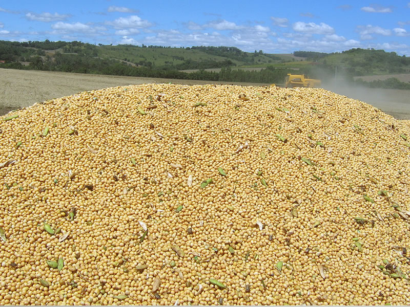/19202agro_28012020.jpg