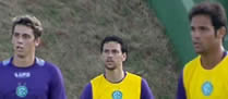 /6908guarani_p.jpg