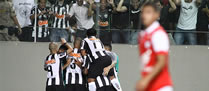 /7305galo_p.jpg
