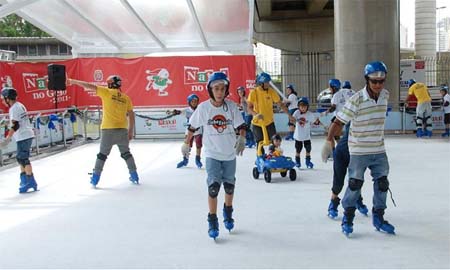 /8767patins-peq.jpg