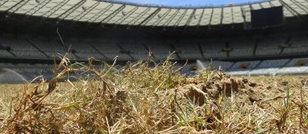 /8941mineirao.jpg